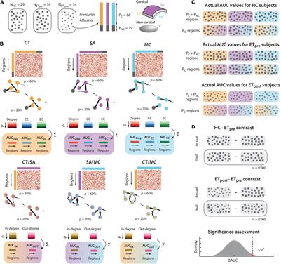 Graph Theoretical Analysis of Structural Covariance Reveals the Relevance of Visuospatial and Attentional Areas in Essential Tremor Recovery After Stereotactic Radiosurgical Thalamotomy